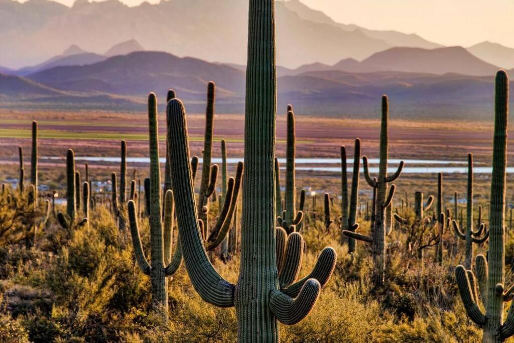Tucson The Greens! 3Br Apt W/ Pool & Spa ภายนอก รูปภาพ